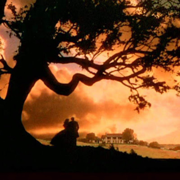 Meet your Posher, Elizabeth - Picture 1 of 1